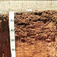 Soil pit showing the profile of red/brown non-cracking clays in the Central north region.  The soil profile is red/brown clay throughout. 