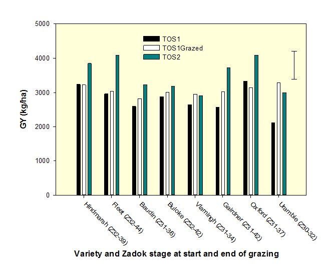 Figure 4 Grain yields (kg/ha) of eight varieties of barley sown in April and May 2011 and subsequently grazed for eight weeks