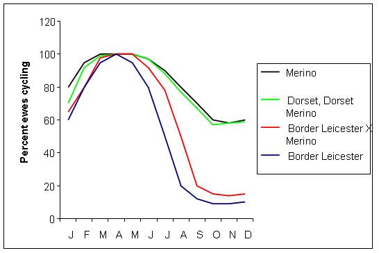 Image Result For How Often Should