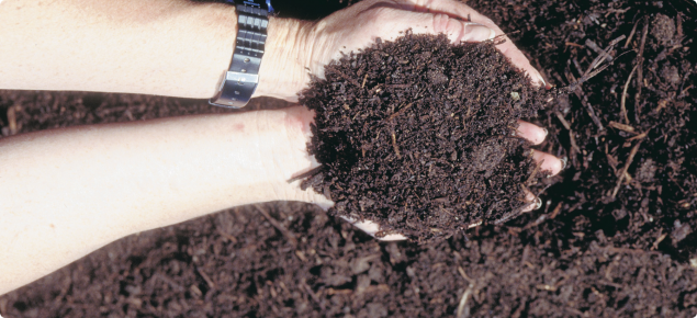 Hands holding some brown potting-mix-like compost