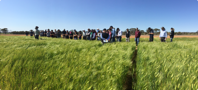 Blakely Paynter speaking at the Merredin Research Station Field Day