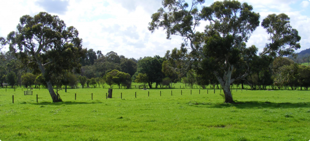 Pastures in the Peel Food Zone investigation area