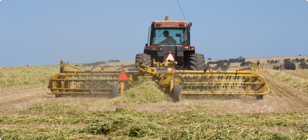 Image of cereal hay being raked 