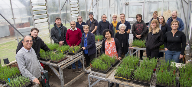 DPIRD senior plant pathologist Dr Manisha Shankar (centre) and team involved in a five-year GRDC NVT investment looking at disease resistance across a broad range of crops.
