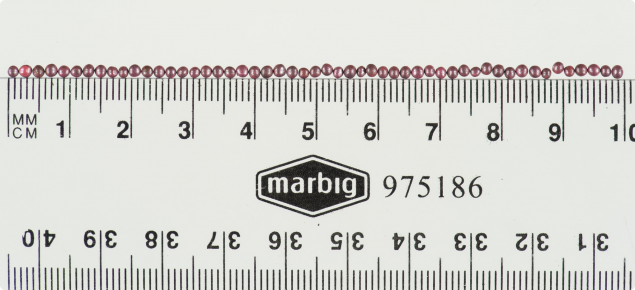 10cm ruler