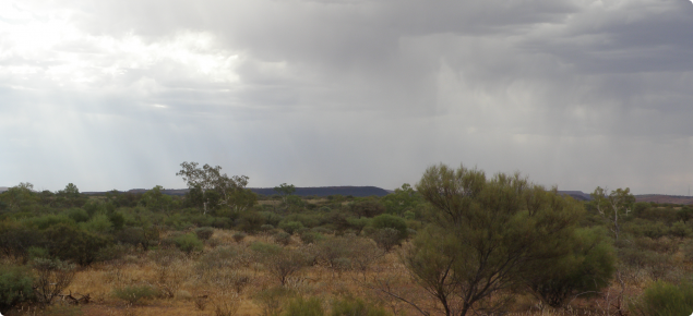 Photograph of rain falling on pastoral country in the Pilbara