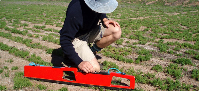 Photograph of a person using an EM38 for estimating soil salinity level