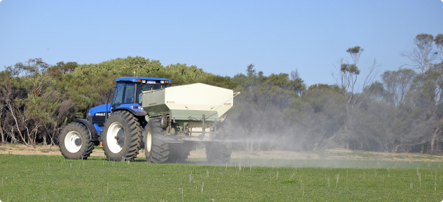 Photograph of spreading lime on pasture