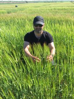 Man in crop