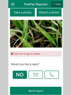 Screenshot of PestFax Reporter app's photo upload screen.