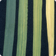Pale yellow, iron deficient leaves, most showing prominent green veins (right), compared with dark green healthy leaf (left)