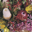 Flower arrangement of Western Australian native flowers including wax flowers, Banksia's, Kangaroo Paw and Verticordia.