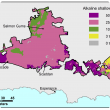 Broadscale map (1:250 000) of the Salmon Gums Agzone showing the distribution of alkaline shallow duplexes. The majority of the region shows shallow duplexes occupying 25–50% from Cascade to Salmon Gums with some areas of 10–25% and 50-100%.