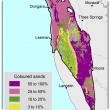 Broadscale map (1:250 000) of the West Midlands Agzone showing the distribution of coloured sands. Distribution ranges from 3%–25% between Lancelin and Leeman. Moora, Three Sprintgs, Dongara and Geraldton ranges from 25%–100%. 