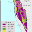 Broadscale map (1:250 000) of the West Midlands Agzone showing the distribution of pale deep sands, ranging between 50%–100% near Moora, Leeman and Three Springs while distribution ranges between 25%–50% from Three Springs to Geraldton. 