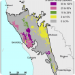 Broadscale map (1:250 000) of the Mid West Agzone showing the distribution of shallow sandy duplexes. Distribution ranges between 25–50% near Geraldton and 3–10% near Mullewa.