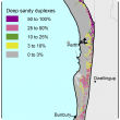 Broad scale map (1:250 000) of the Swan coastal plain Agzone showing the distribution of deep sandy duplexes. Distribution is scattered along the Darling scarp with 50–100% and 25–50%. 