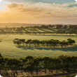 image of farm paddock and trees