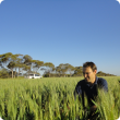 Martin Harries kneeling in a wheat crop