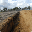 A yellow sand that has been mouldboard ploughed