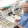 DPIRD taxonomist with insect specimens
