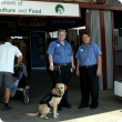 Quarantine inspectors and detector dog George at the Show