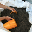 Nurseries may choose to buy in potting mix rather than making their own