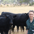 Dr Kristine Rayner with cattle