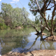 Keep River showing healthy fringing vegetation
