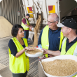Oats being delivered to bulk handling facility