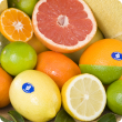 Types of citrus with the blue sticker and WA birthmark symbol