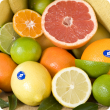 Different types of Citrus fruit with the WA citrus WA birthmark sticker