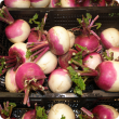 Turnips displayed for sale