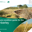 Photo caption: The Pasture condition guide for the Kimberley includes information for pastoralists on the 17 most common pasture types throughout the Kimberley.
