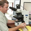 Pathologist looking at microscope and slide