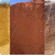Yellow deep sand Eradu sandplain (left), Red deep sand Murchison (centre), Brown deep sands Kukerin (right)