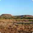 Photograph of Pilbara pasture in fair condition