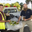 Queensland fruit fly response