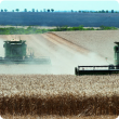 Two harvesters in a field with a tree line behind them.