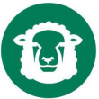 Sheep Condition Scoring app icon