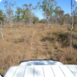 Typical Cockatoo soil landscape showing the open woodland and gentle topography