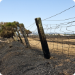 A fence burnt by a fire in a blackened paddock.