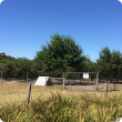 Truffle orchard with secure perimeter fence, closed gate and biosecurity sign