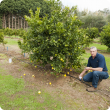 Man crouching next to tree