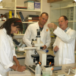 Brown Besier, Jill Lyon and Darren Michael from the DAFWA team producing the Barber’s Pole vaccine in the laboratory