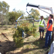 Image depicting three project staff using a truck mounted hydraulic lifting arm to weigh tree branches at the West Three Springs site