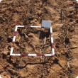 Square quadrant on the ground used for determining the amount of loose soil and plant matter.