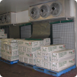 The photo shows a forced air cooling  setup at a commercial flower exporters packing shed