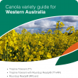 The Canola Variety Guide 2016 contains the latest canola variety information to help guide grower decisions.