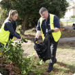 Residents are encouraged to continue the great job they have been doing of removing, treating and disposing of host fruit. Response officers Adeline Blin and Kevin Lacey pictured here disposing of fruit from pruned tree branches in black plastic bags read
